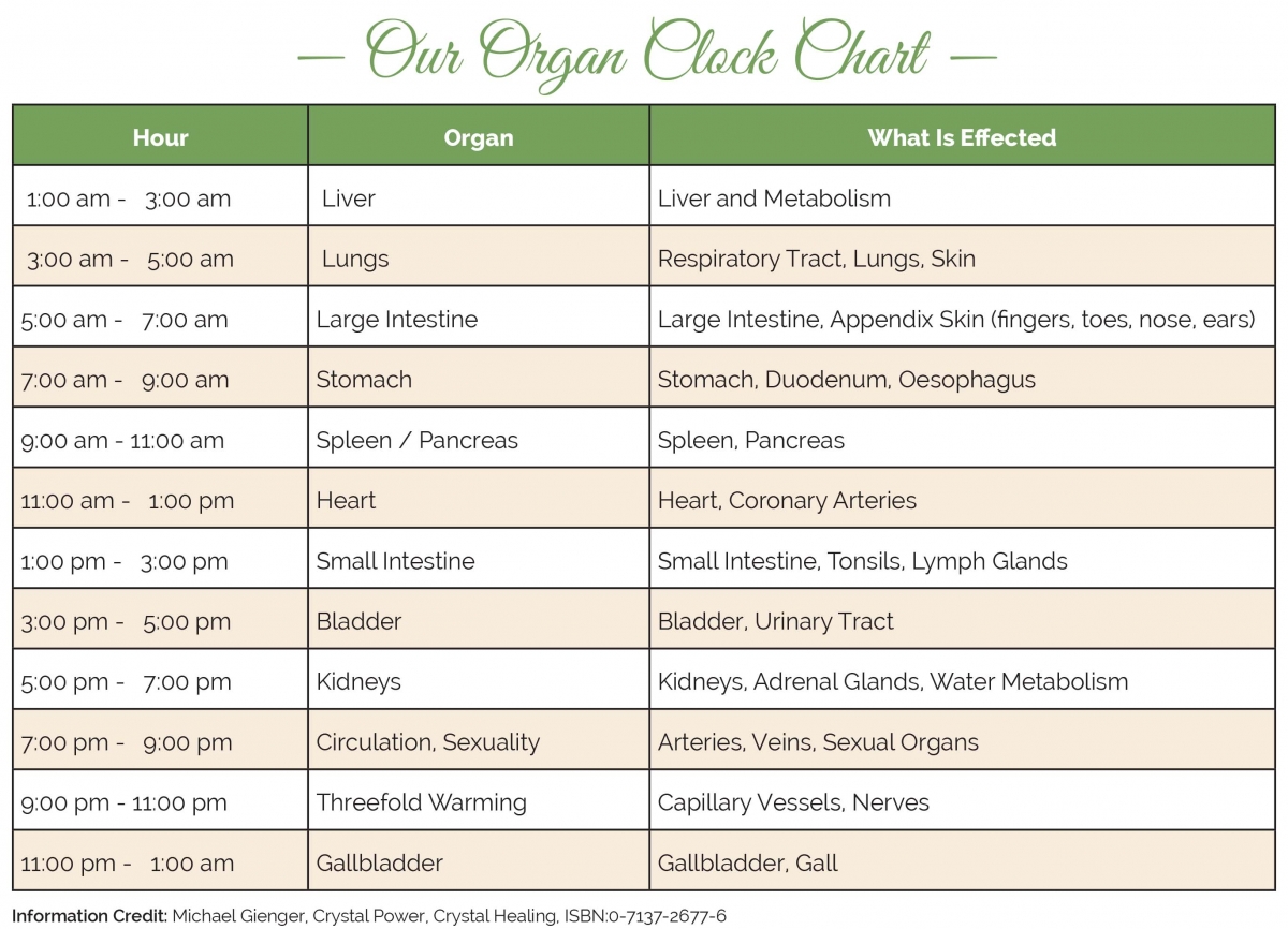 Organ Clock Chart